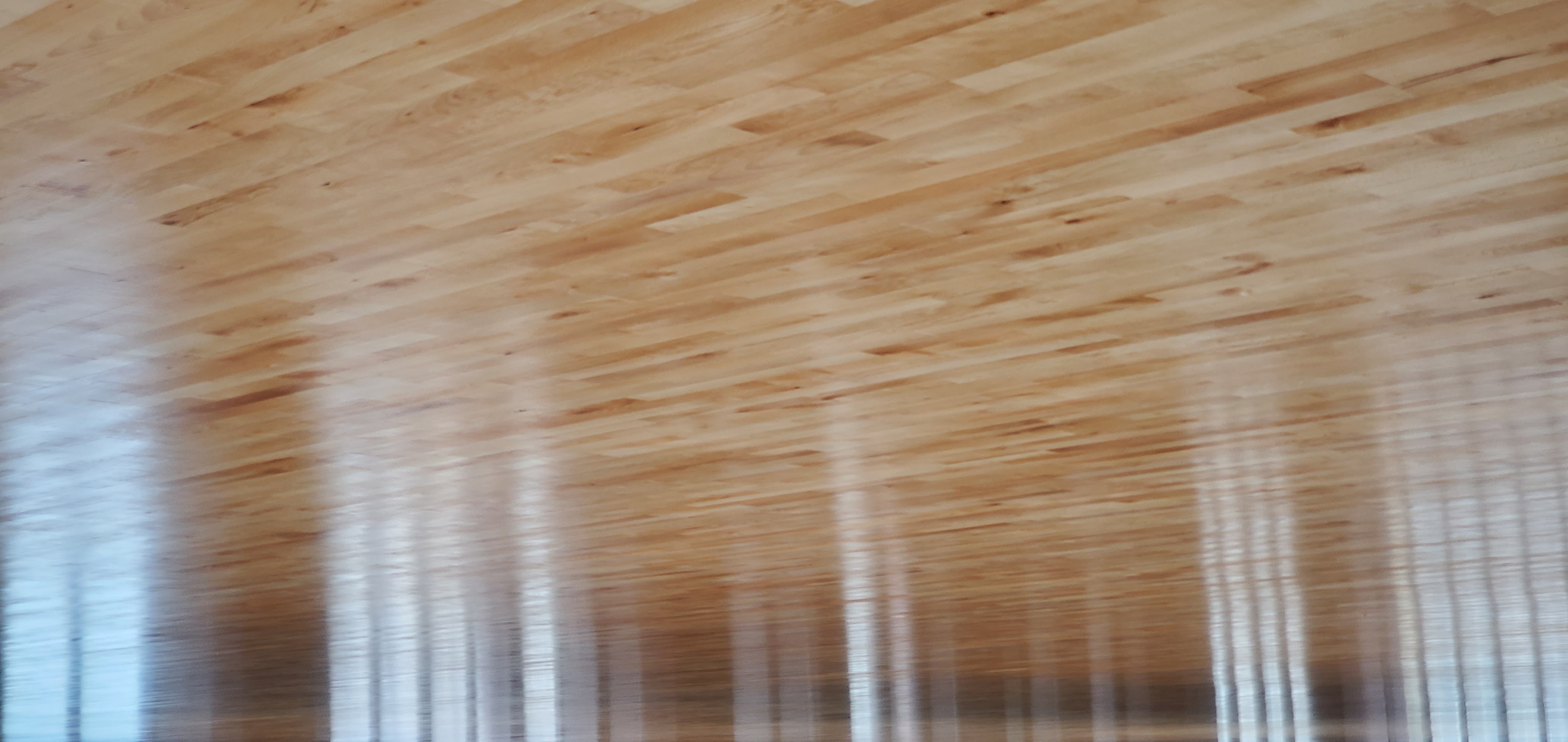 mmexport1679233481030